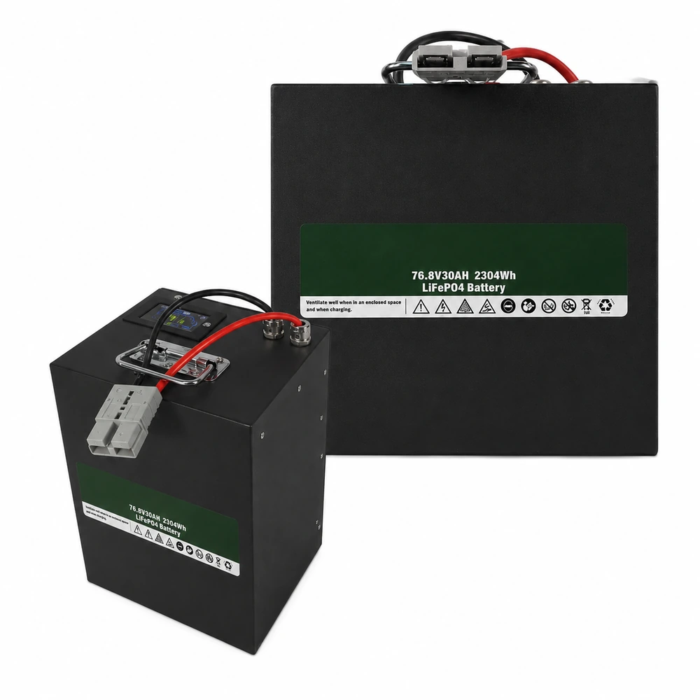 LiFePO4 Battery Two-Wheeled Vehicle & Electric Motorcycle Series